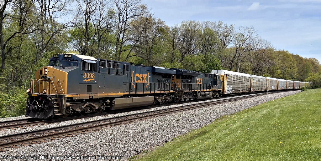 CSX 3098 leads M217.